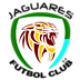 jaguares
